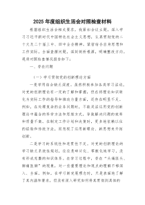 2026年度组织生活会个人对照检查4400字.docx