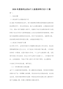 2026年度组织生活会个人检视材料汇总十三篇