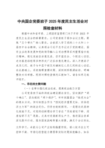 中央国企党委班子2026年度民主生活会对照检查材料