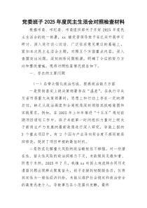 乡镇班子2026年度民主生活会对照检查材料（五个带头 典型案例）