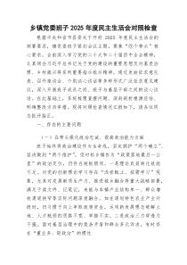 乡镇领导班子2026年度民主生活会对照检查4000字（五个带头）