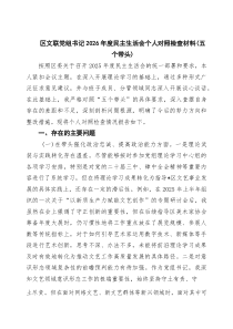 六篇区文联党组书记2026年度民主生活会个人对照检查材料（五个带头）范文