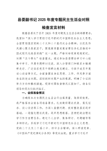 县委副书记2026年度专题民主生活会对照检查发言材料（五个带头 会前准备）