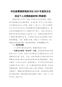 市应急管理局党组书记2026年度民主生活会个人对照检查材料（五个带头 典型案例）