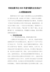 市政法委书记2026年度专题民主生活会个人对照检查材料（五个带头）