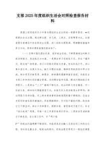 支部2026年度组织生活会对照检查报告材料