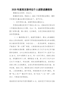 2025年度党支部书记个人述职述廉报告