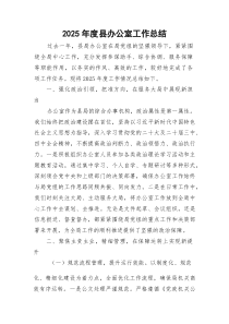 2025年度县办公室工作总结