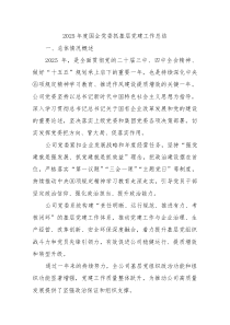 2025年度国企公司党委抓党建工作总结报告4200字