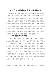2025年镇党委书记抓党建工作述职报告