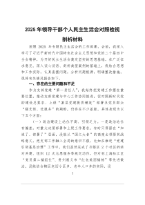 2025年领导干部个人民主生活会对照检视剖析材料