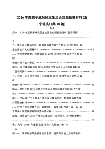 2026年度班子成员民主生活会对照检查材料（五个带头）_精选18篇完整版
