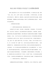 局长2025年度民主生活会个人对照检查材料