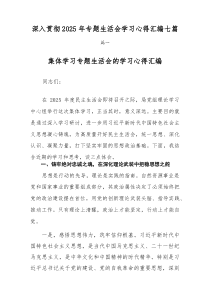 深入贯彻2025年专题生活会学习心得汇编七篇