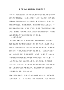镇党委2025年思想政治工作情况报告