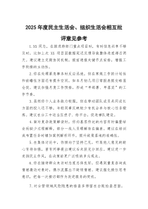 2026年度民主生活会、组织生活会相互批评意见参考.docx