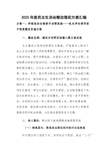 2026年度民主生活会整改落实方案汇编