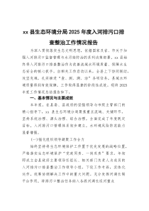 v县生态环境分局2026年度入河排污口排查整治工作情况报告