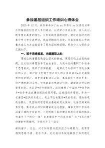 参加基层组织工作培训心得体会