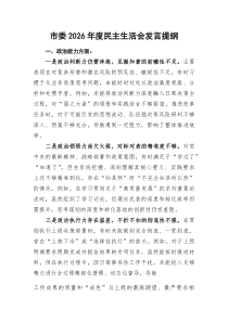 市委2026年度民主生活会发言提纲（五个带头）