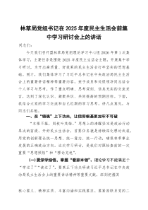 林草局党组书记在2026年度民主生活会前集中学习研讨会上的讲话