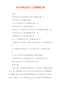 022年安全生产工作情况汇报