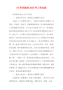 03市民政局2026年工作总结