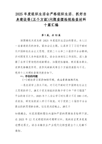 2026年度组织生活会严格组织生活、抓好自身建设等（五个方面）问题查摆检视检查材料十篇汇编