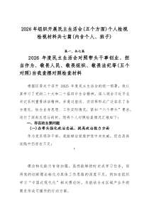 2026年组织开展民主生活会（五个方面）个人检视检视材料共七篇（内含个人、班子）