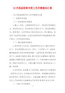 18月我县招商引资工作开展情况汇报