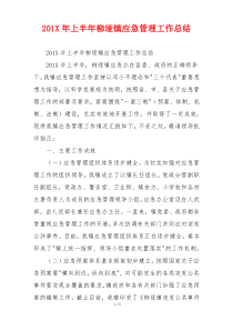 201X年上半年柳垭镇应急管理工作总结