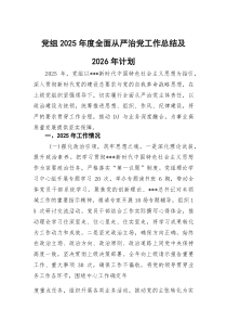 党组2026年度全面从严治党工作总结及2026年计划