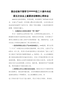 国企纪检干部学习习近平总书记在二十届中央纪委五次全会上重要讲话精神心得体会