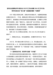 国有企业董事会审计委员会2026年工作总结暨2026年工作计划：筑牢风控合规“防火墙”+绘就提质增效