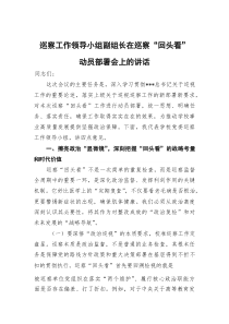巡察工作领导小组副组长在巡察“回头看”动员部署会上的讲话