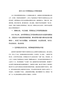 某市2026年思想政治工作情况报告