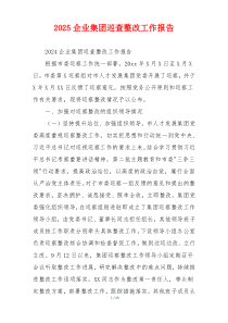 2026企业集团巡查整改工作报告