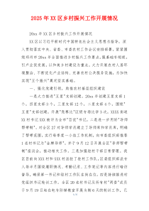 2026年XX区乡村振兴工作开展情况