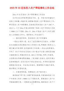 2026年XX区低收入农户帮促增收工作总结