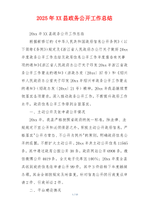 2026年XX县政务公开工作总结