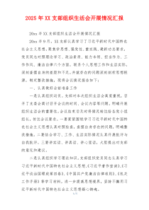 2026年XX支部组织生活会开展情况汇报