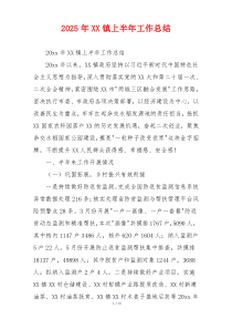 2026年XX镇上半年工作总结