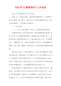 2026年XX镇领导班子工作总结