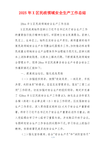 2026年X区民政领域安全生产工作总结