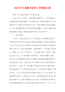 2026年X县数字经济工作情况汇报