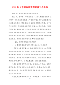 2026年X市商务局营商环境工作总结