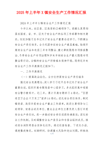 2026年上半年X镇安全生产工作情况汇报