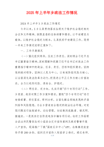 2026年上半年乡政法工作情况