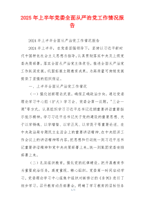 2026年上半年党委全面从严治党工作情况报告