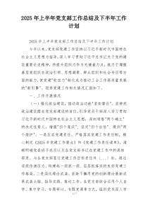 2026年上半年党支部工作总结及下半年工作计划